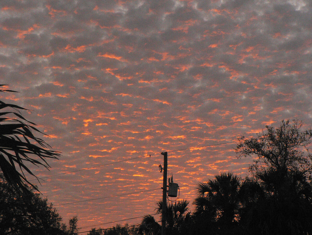 "Scattered Sunrise" 2025